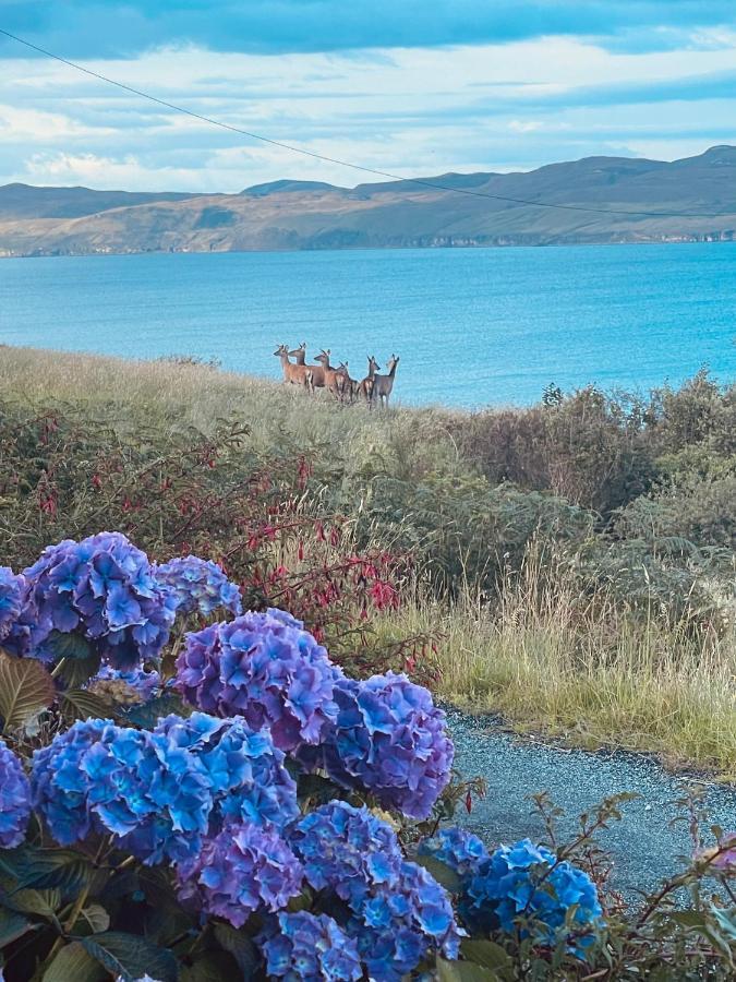 The Rowanberry Suite At Rowan Cottage Elgol Luaran gambar